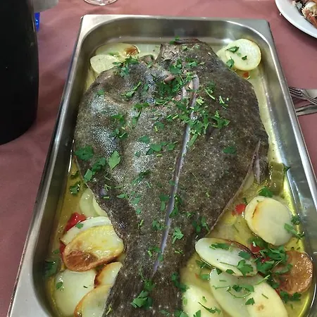 Gasthof Oasis Zamora